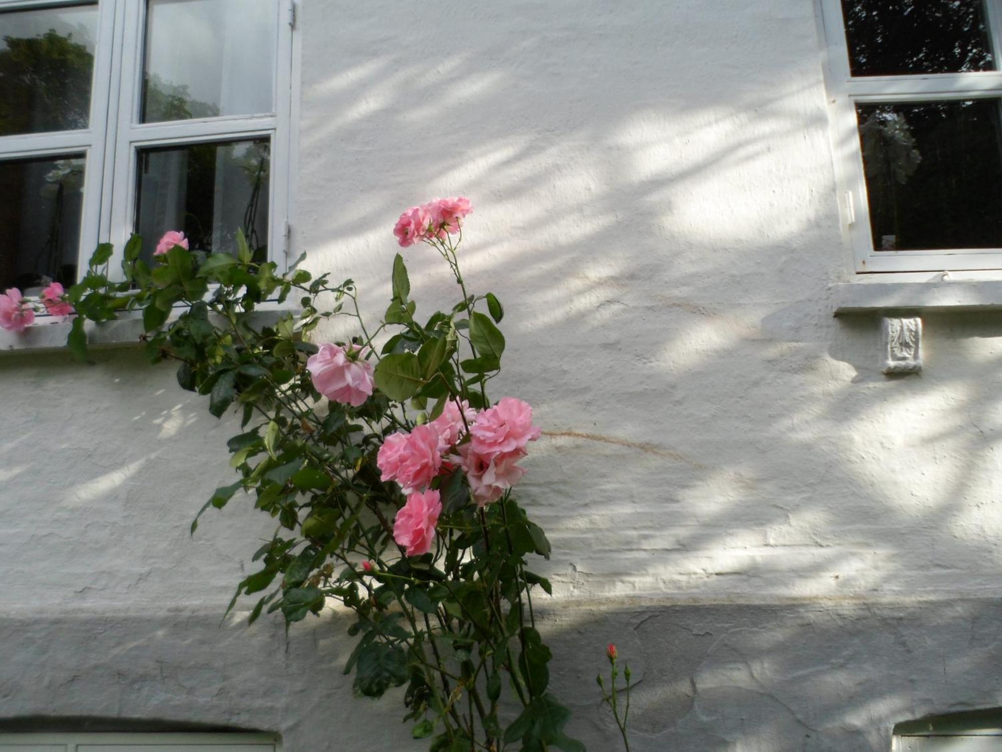 Boiesminde Vamdrup Exterior foto